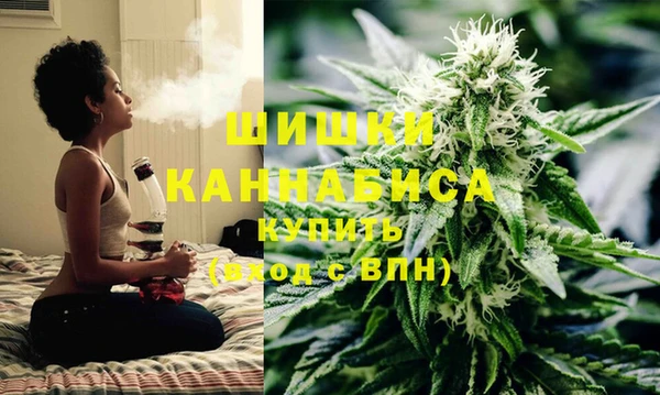 сатива Горнозаводск