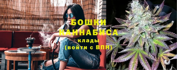 сатива Горнозаводск