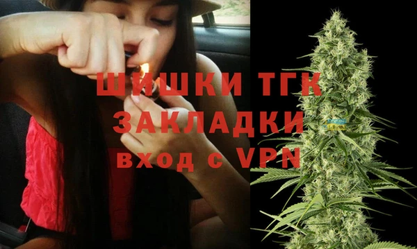 сатива Горнозаводск